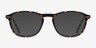 Socorro Tortoise AcetateEyeglass Frames from EyeBuyDirect, with Tinted Lenses