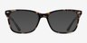 Varda Tortoise AcetateEyeglass Frames from EyeBuyDirect, with Tinted Lenses