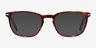 Camille Tortoise AcetateEyeglass Frames from EyeBuyDirect, with Tinted Lenses