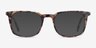 Gabor Tortoise AcetateEyeglass Frames from EyeBuyDirect, with Tinted Lenses