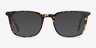 Gabor Brown Tortoise AcetateEyeglass Frames from EyeBuyDirect, with Tinted Lenses