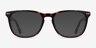 Gato Écailles AcétateMontures de lunettes de vue d'EyeBuyDirect, Avec des Verres Teintés