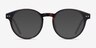 Manara Tortoise AcetateEyeglass Frames from EyeBuyDirect, with Tinted Lenses