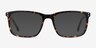 Connect Tortoise AcetateEyeglass Frames from EyeBuyDirect, with Tinted Lenses