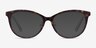 Helena Tortoise AcetateEyeglass Frames from EyeBuyDirect, with Tinted Lenses