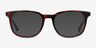Seasons Brown Tortoise AcetateEyeglass Frames from EyeBuyDirect, with Tinted Lenses