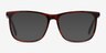 Mezzanine Brown AcetateEyeglass Frames from EyeBuyDirect, with Tinted Lenses