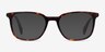 Howie Tortoise AcetateEyeglass Frames from EyeBuyDirect, with Tinted Lenses