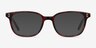 Rena Brown Tortoise AcetateEyeglass Frames from EyeBuyDirect, with Tinted Lenses