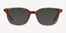 Rena Light Tortoise AcetateEyeglass Frames from EyeBuyDirect, with Tinted Lenses