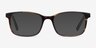 Collective Tortoise AcetateEyeglass Frames from EyeBuyDirect, with Tinted Lenses