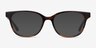 Patra Brown Striped AcetateEyeglass Frames from EyeBuyDirect, with Tinted Lenses