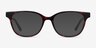 Patra Tortoise AcetateEyeglass Frames from EyeBuyDirect, with Tinted Lenses