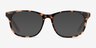 Steps Tortoise AcetateEyeglass Frames from EyeBuyDirect, with Tinted Lenses