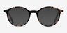 Excel Tortoise AcetateEyeglass Frames from EyeBuyDirect, with Tinted Lenses