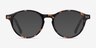 Magic Tortoise AcetateEyeglass Frames from EyeBuyDirect, with Tinted Lenses