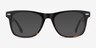 Caster Black Tortoise AcétateMontures de lunettes de vue d'EyeBuyDirect, Avec des Verres Teintés