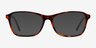 Versa Tortoise AcetateEyeglass Frames from EyeBuyDirect, with Tinted Lenses