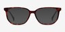 Reverb Tortoise AcetateEyeglass Frames from EyeBuyDirect, with Tinted Lenses