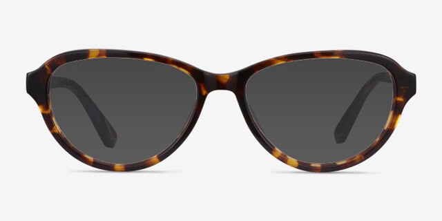 Misha Tortoise AcetateEyeglass Frames from EyeBuyDirect, with Tinted Lenses