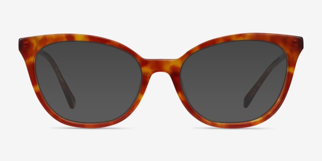 Sigilo Tortoise AcetateEyeglass Frames from EyeBuyDirect, with Tinted Lenses
