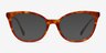 Sigilo Tortoise AcetateEyeglass Frames from EyeBuyDirect, with Tinted Lenses