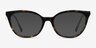 Sigilo Green Floral AcetateEyeglass Frames from EyeBuyDirect, with Tinted Lenses