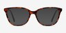 Arte Tortoise AcetateEyeglass Frames from EyeBuyDirect, with Tinted Lenses
