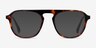Ida Tortoise AcetateEyeglass Frames from EyeBuyDirect, with Tinted Lenses