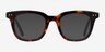 Romy Tortoise AcetateEyeglass Frames from EyeBuyDirect, with Tinted Lenses