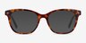 Yana Tortoise AcetateEyeglass Frames from EyeBuyDirect, with Tinted Lenses