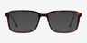 Rafferty Tortoise AcetateEyeglass Frames from EyeBuyDirect, with Tinted Lenses