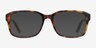 Tobias Tortoise AcetateEyeglass Frames from EyeBuyDirect, with Tinted Lenses