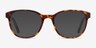 Gable Tortoise AcetateEyeglass Frames from EyeBuyDirect, with Tinted Lenses