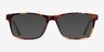 Pochi Tortoise AcetateEyeglass Frames from EyeBuyDirect, with Tinted Lenses