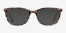 Lena Ivory Tortoise AcetateEyeglass Frames from EyeBuyDirect, with Tinted Lenses