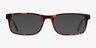 Vista Brown Tortoise AcetateEyeglass Frames from EyeBuyDirect, with Tinted Lenses