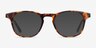 Alastor Tortoise AcetateEyeglass Frames from EyeBuyDirect, with Tinted Lenses