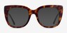 Unique Tortoise AcetateEyeglass Frames from EyeBuyDirect, with Tinted Lenses