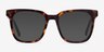 Kenneth Tortoise AcetateEyeglass Frames from EyeBuyDirect, with Tinted Lenses