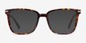 Canvas Tortoise AcetateEyeglass Frames from EyeBuyDirect, with Tinted Lenses