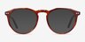Planete Tortoise AcetateEyeglass Frames from EyeBuyDirect, with Tinted Lenses