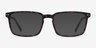 Moringa Warm Tortoise PlasticEyeglass Frames from EyeBuyDirect, with Tinted Lenses