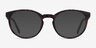 Citrus Warm Tortoise Eco-friendlyEyeglass Frames from EyeBuyDirect, with Tinted Lenses