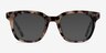 Romy Écaille ivoire AcétateMontures de lunettes de vue d'EyeBuyDirect, Avec des Verres Teintés