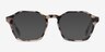 Orchid Ivory Tortoise AcetateEyeglass Frames from EyeBuyDirect, with Tinted Lenses