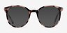 Noun Ivory Tortoise AcetateEyeglass Frames from EyeBuyDirect, with Tinted Lenses