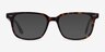 Pacific Tortoise AcetateEyeglass Frames from EyeBuyDirect, with Tinted Lenses
