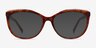 Brilliance Tortoise AcetateEyeglass Frames from EyeBuyDirect, with Tinted Lenses