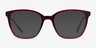 Identical Clear Red & Clear Brown PlasticEyeglass Frames from EyeBuyDirect, with Tinted Lenses